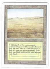 Savannah (#575)